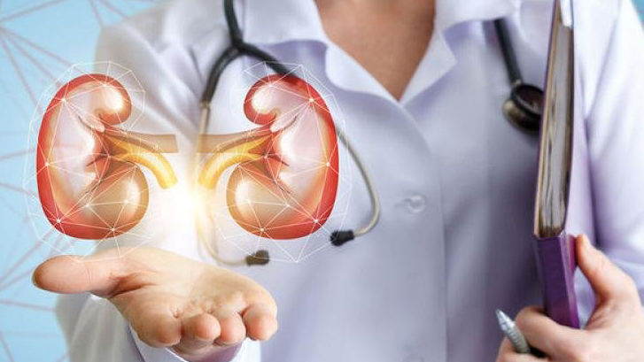 services-gynecology